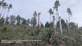 2026_05_11_mo_01_017_K137_mellenhahn nach_lichtenhain